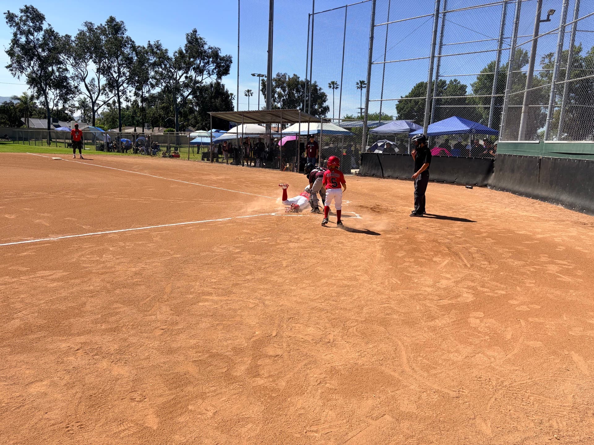MAD Dawgs player sliding into home plate