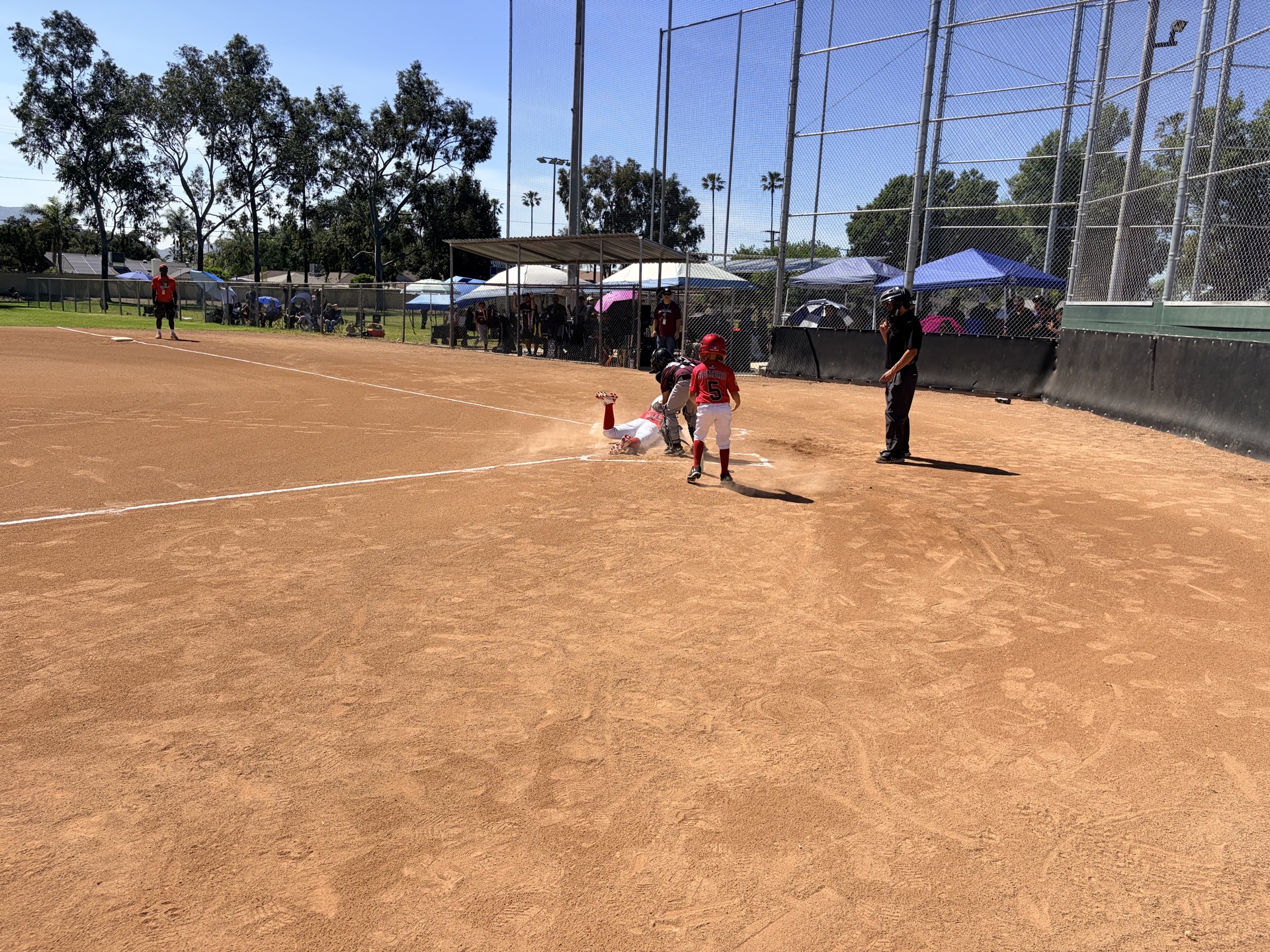 MAD Dawgs player sliding into home plate