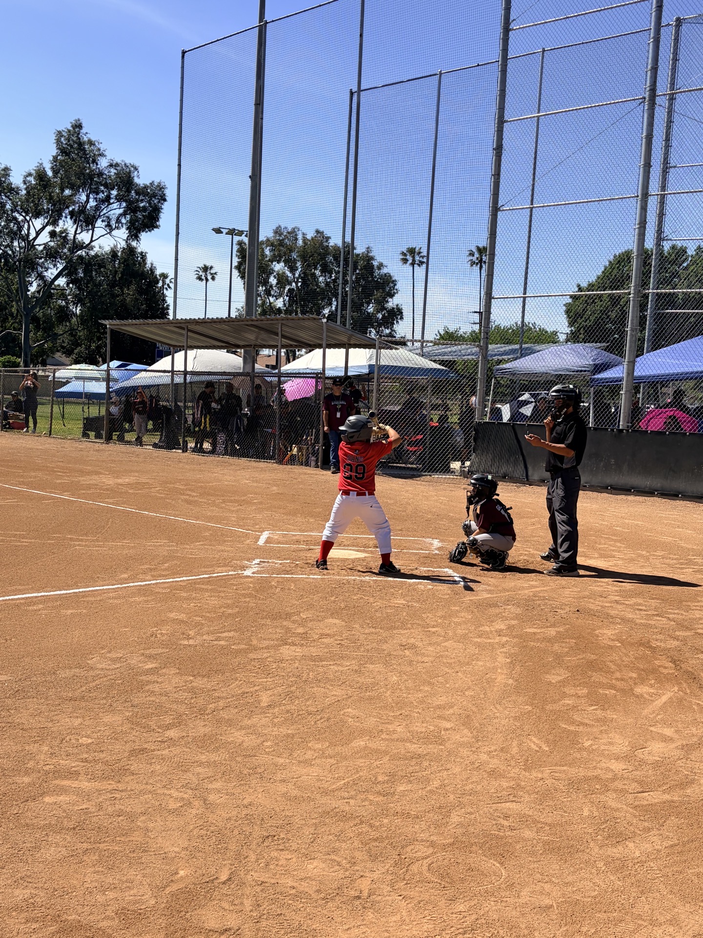 MAD Dawgs batter #39 at the plate