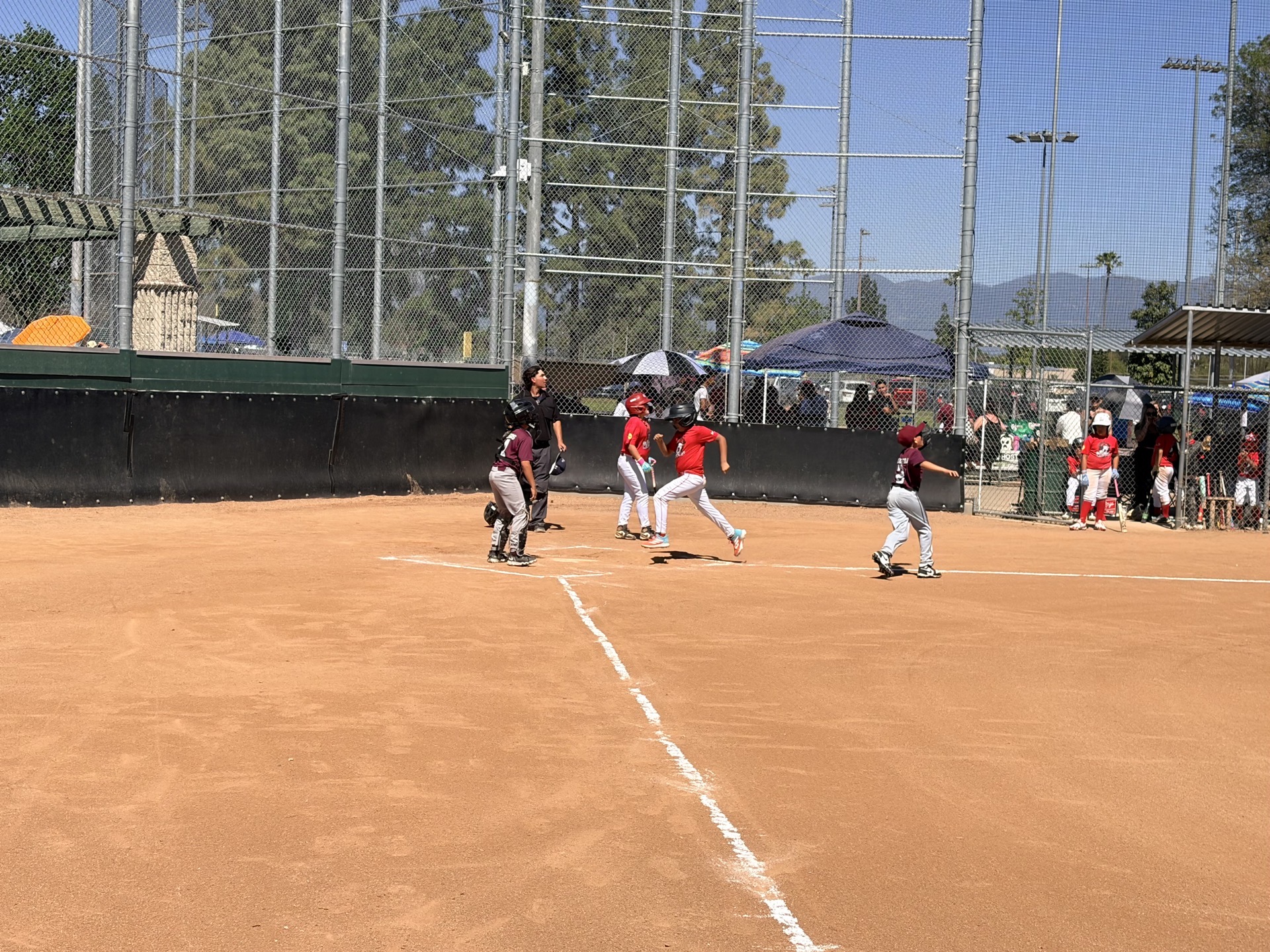 MAD Dawgs players crossing home plate to score